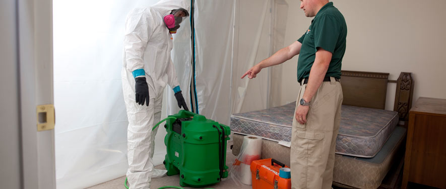 Gulfport, MS mold removal process