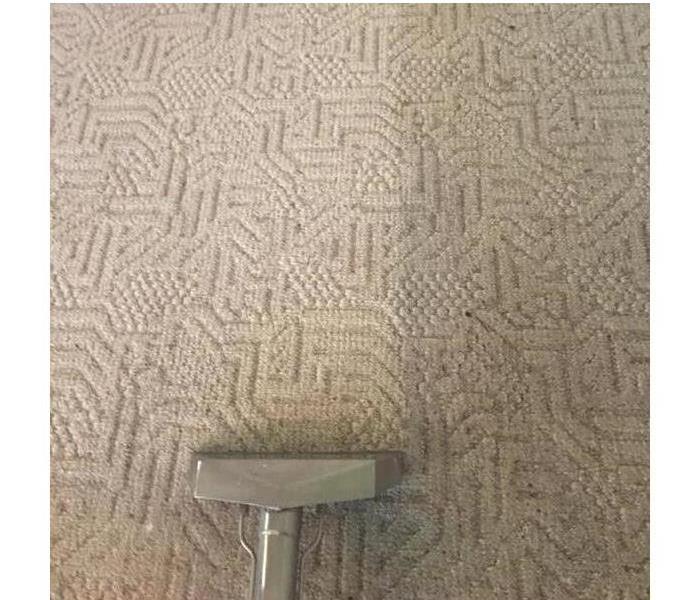 carpet after it was cleaned